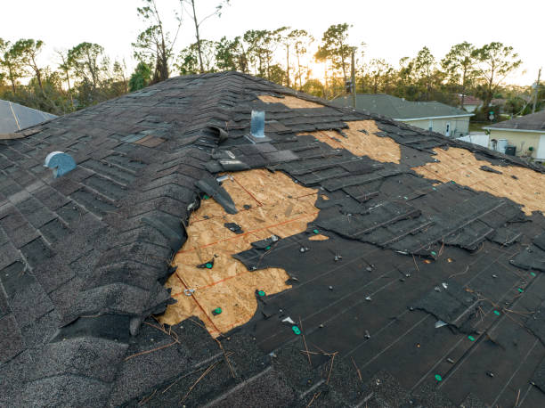 Best Roof Maintenance and Cleaning  in Clayton, NC