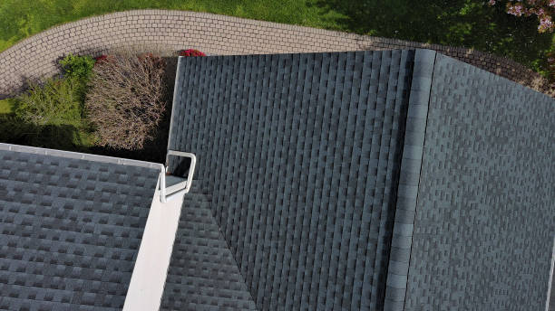 Best Roof Moss and Algae Removal  in Clayton, NC